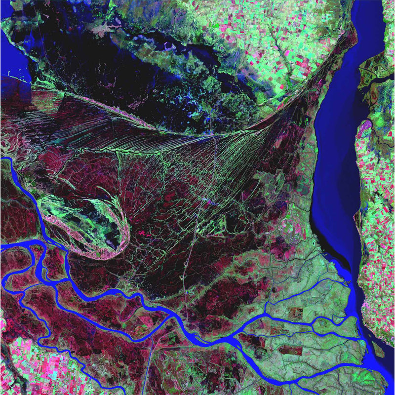 Adhésif décoratif Parana River Delta, H 24 po x l 24 po