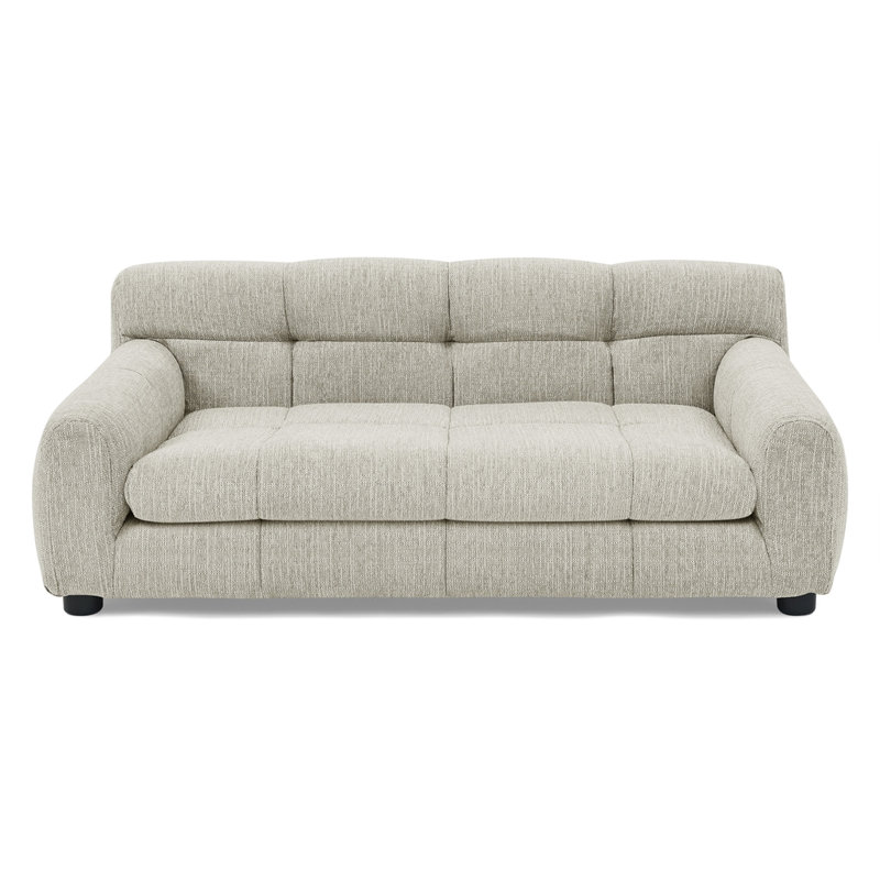 Canapé doux et confortable avec dossier et accoudoirs, adapté aux canapés rectangulaires modernes pour petits et moyens chiens