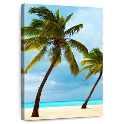 Harnek Jolly Beach Palm Trees