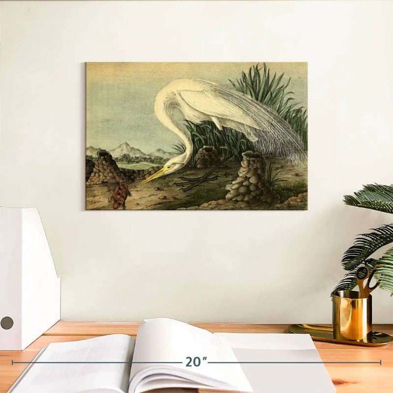 Bramon héron blanc d'oiseaux d'Amérique, H 8 po x l 12 po