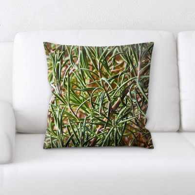 Coussin décoratif herbes