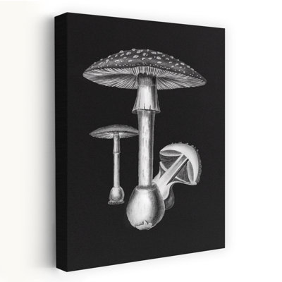Impression d'art mural rétro vintage en noir et blanc sur fond sombre d'une amanite muscaria