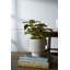 Vase de table en céramique blanche-689214820