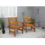 Ardilla Patio Dining Armchair-93557878