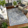 Oriental Indoor / Outdoor Rug