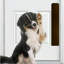 Accessoire de porte pour animal de compagnie Acrion-83263576-83263583