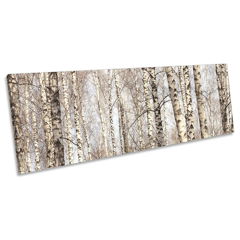 Forest Birch Trees Trunks - Wrapped Canvas Panoramic Print, 60.96cm H x 182.88cm W