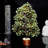 Tree Of Life, Crystals And Healing Stones, Birthday Gifts - Crystal Tree For Positive Energy, Home Office Decor, Spiritual Gifts-1990619250