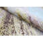 One-of-a-Kind 8'1" X 10'1" Hand Knotted Area Rug