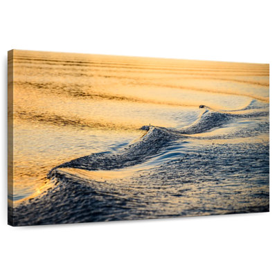Alvord Waves In Ballard Lake