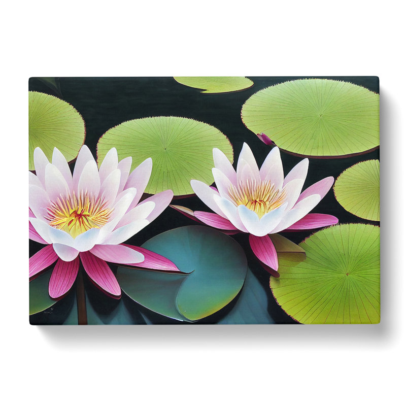 Beguiling Water Lily Flowers - Wrapped Canvas, 50cm H x 76cm W x 3cm D