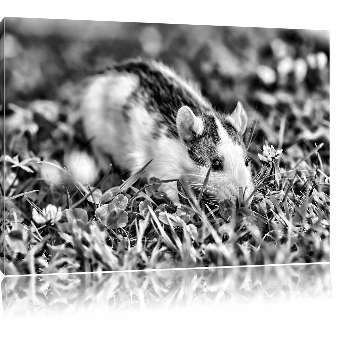 Leinwandbild Kleine Maus auf Blumenwiese in Monochrom