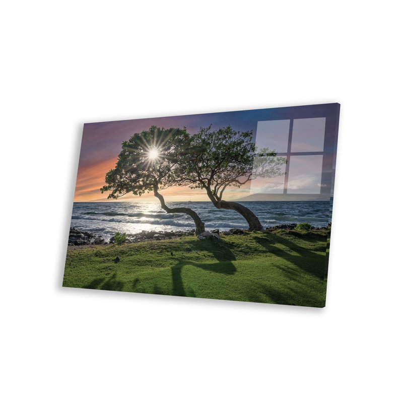 Maui Sunset III par Steve Berkley