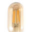4 W, ampoule à DEL T45 à intensité variable, blanc chaud (2 700 K), culot E26 / moyenne (standard)