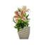 Neelish Lily Arrangement in Vase-1198060091