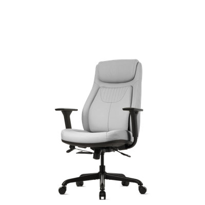 Posturelift Ergonomic Office Chair