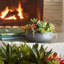 PLANT 14IN Round Succulent Arrangement, Natural Pot-80285220