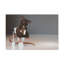 Wall Art on Canvas-847448978