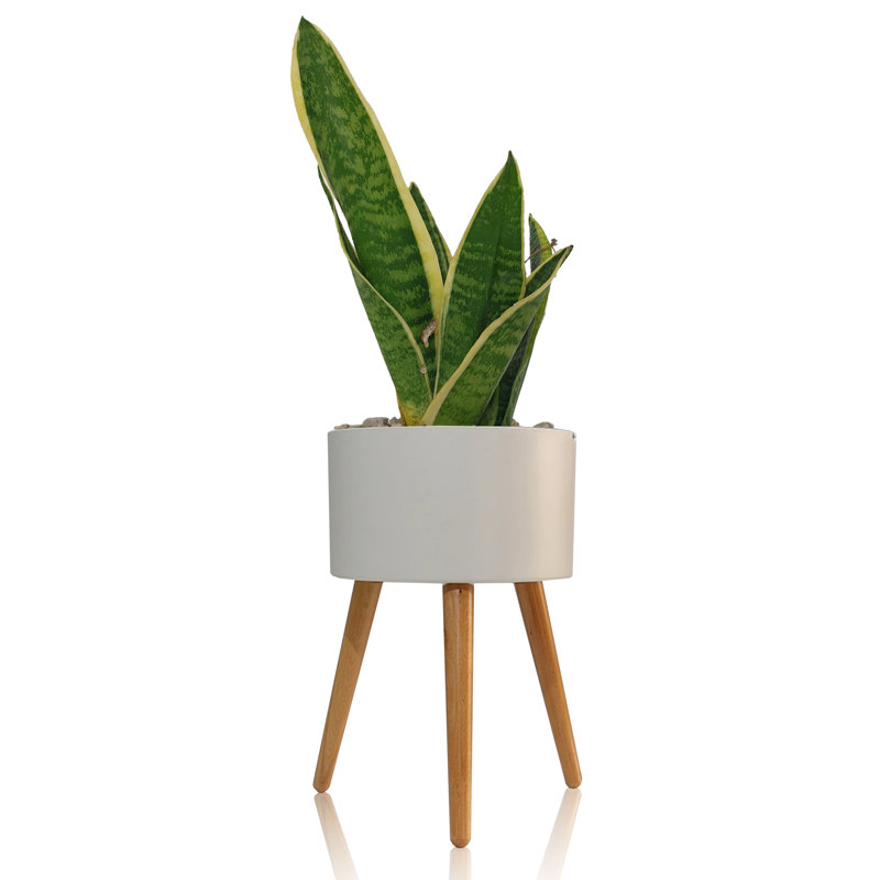 Wood Plant Pot