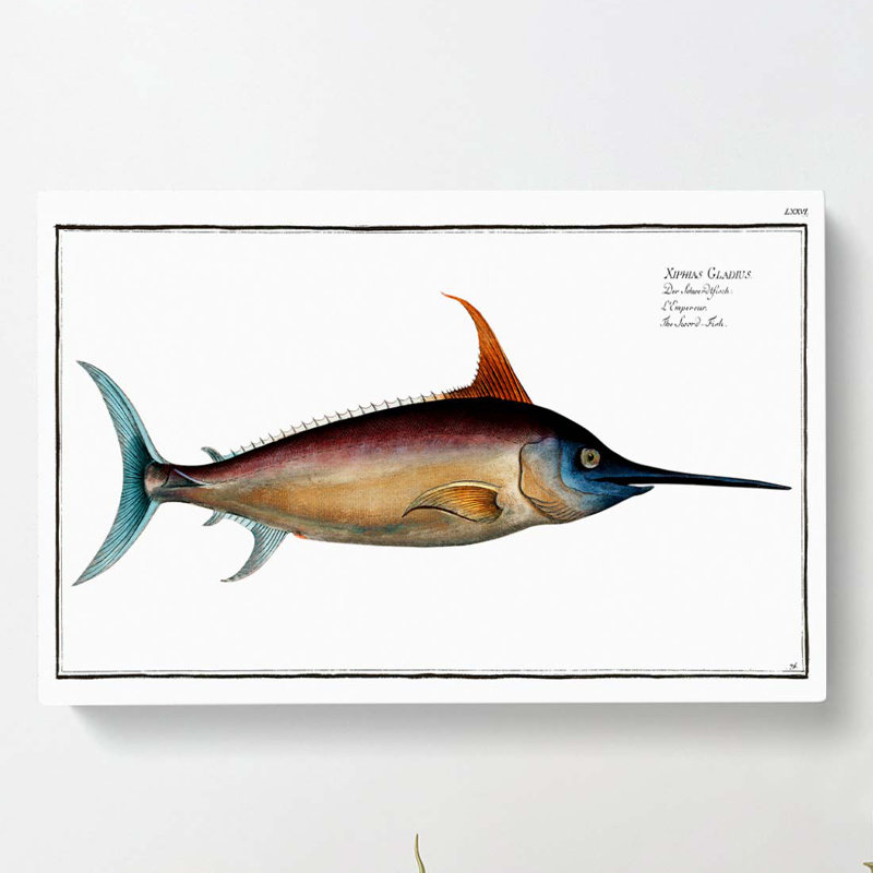 Swordfish by M.E. Bloch - Wrapped Canvas Print, 35cm H x 50cm W x 3cm D