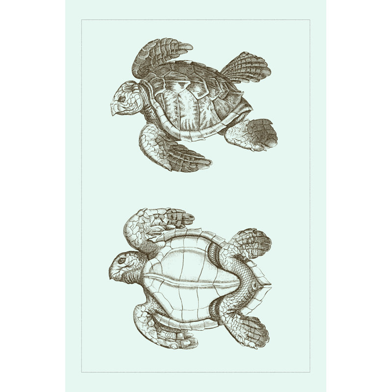 Tortue caouanne II, H 36 po x l 24 po x P 1,25 po