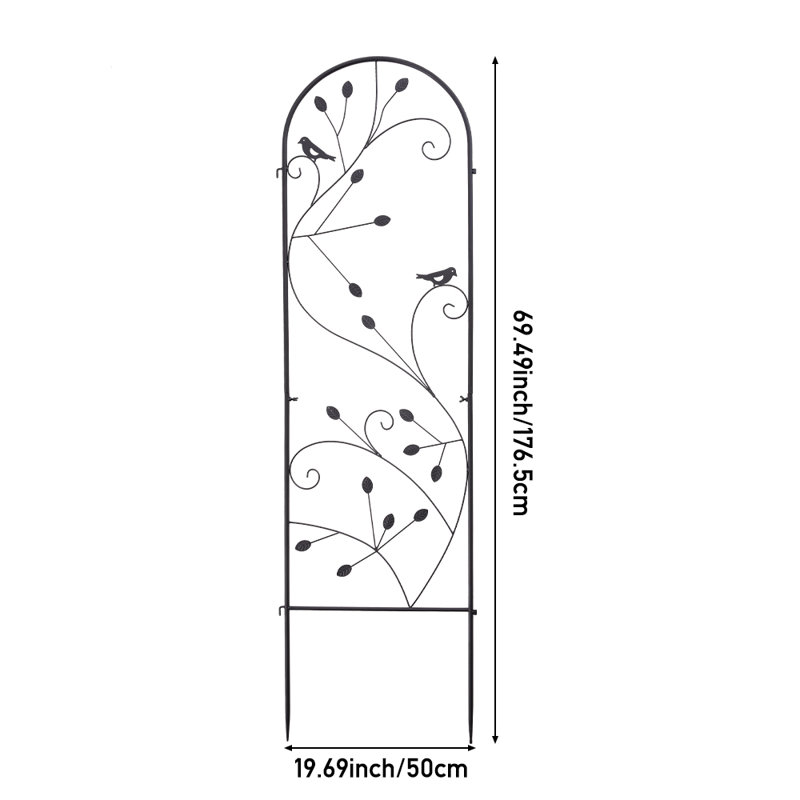 176.5cm H x 50cm W Iron Arched