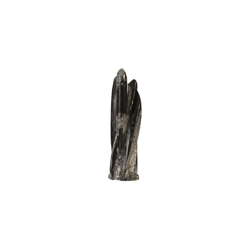 Petrified Squid Figurine