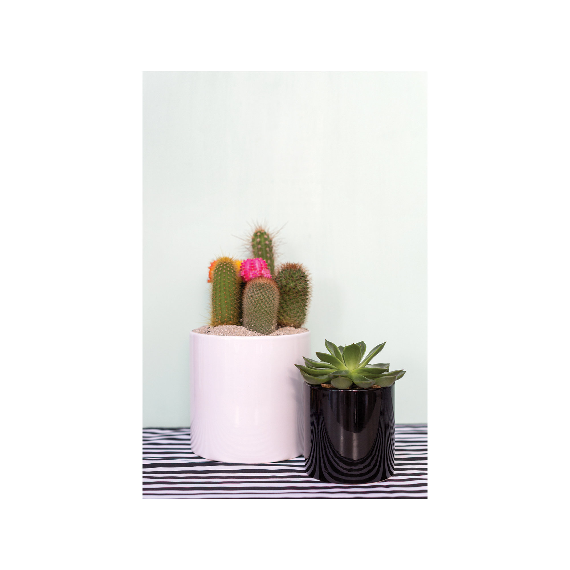 Handmade Ceramic Pot Planter, 4.25" H x 4.25" W x 4.25" D, Black