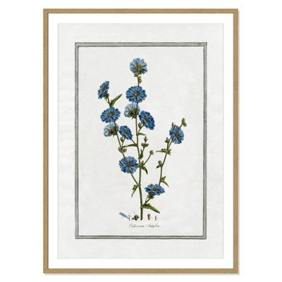 Colombe "Soft Botanical I" Print