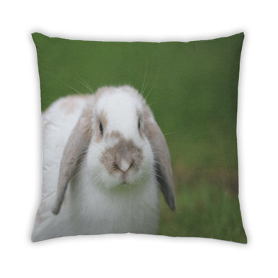 Coussin 18 animaux