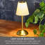 LED Rechargeable Lamp with Shade, 12.8 Inch