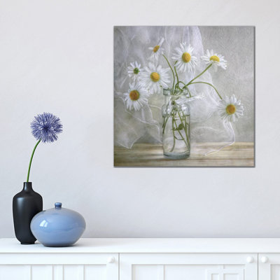 Daisies 1 Piece Wrapped Canvas Wall Art