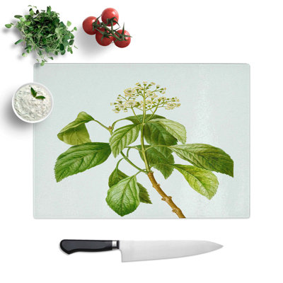 Tempered Glass Climbing Hydrangea Chopping Board