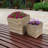 Bozzuto 2pc Assorted Square Anthracite Acacia Wood Planter Box with Liner - Gray-222142638