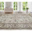 Oriental Area Rug-70212585