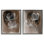 Ensemble de 2 toiles flottantes encadrées Mocha Gossamer Roses, design par Annabelle Hall