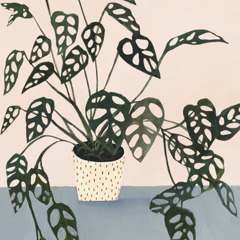 Houseplant I by Victoria Borges - Wrapped Canvas Painting, 30cm H x 30cm W x 3.8cm D