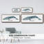 Baleine I - toile encadrée-111264407