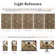 Elyria Performance Oriental Area Rug