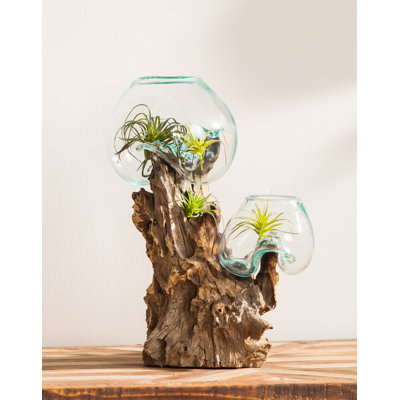 Pot de fleurs pour terrasse en verre flottant Pinkard
