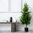Artificial Norfolk Pine Tree-1606007049