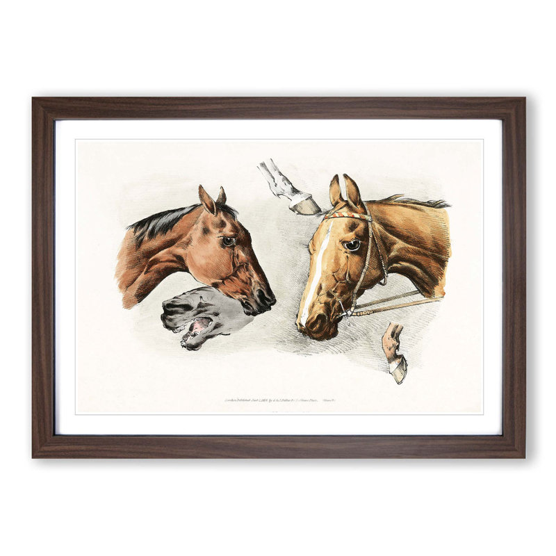 Horse Heads and Hoofs by Henry Alken - Picture Frame Painting Print on MDF, Walnut Framed, 48cm H x 65cm W x 2cm D