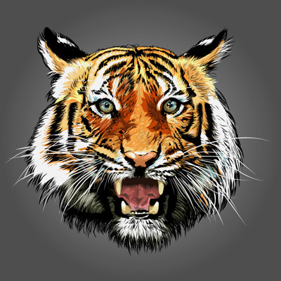 Illustration d'un tigre