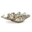 Med Clam Shell w/ Silver Shells