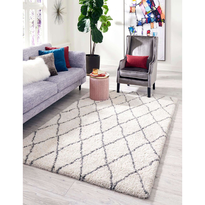 Tapis à poils longs couleur de nuage Walshville, Rectangle 5 pi x 8 pi