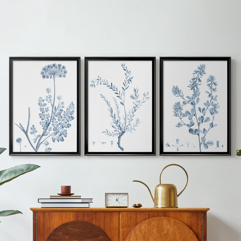 Antique Botanical in Blue V - Toile tendue avec châssis sur mesure - 3 pièces, H 21 po x l 30 po, Noir