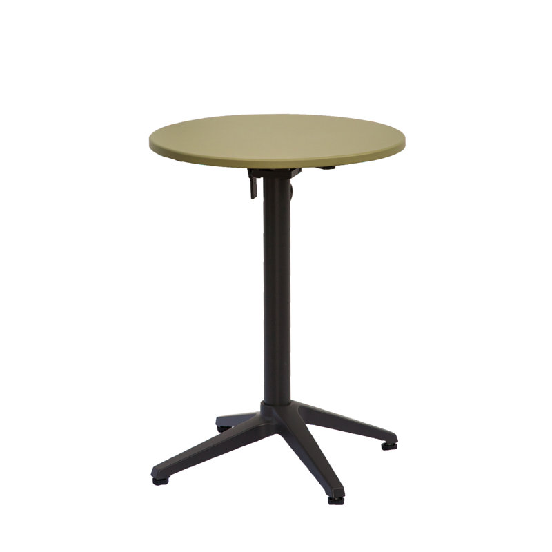 Aule Round Metal Folding Outdoor Bistro Table , 55.5cm cm W 55.5cm cm D, Reed green