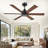 Cissline 48" Black 6-Blade Ceiling Fan No Light with Aluminum Blades, Remote Control for Medium Room