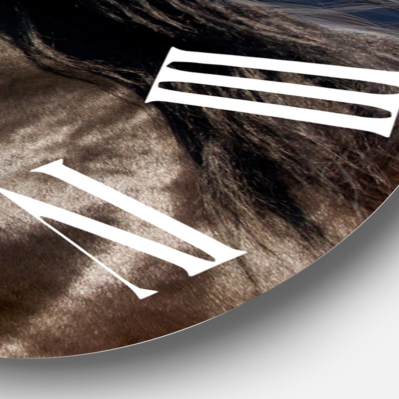 Portrait d'un cheval étalon Purius III - horloge murale de ferme, Surdimensionné