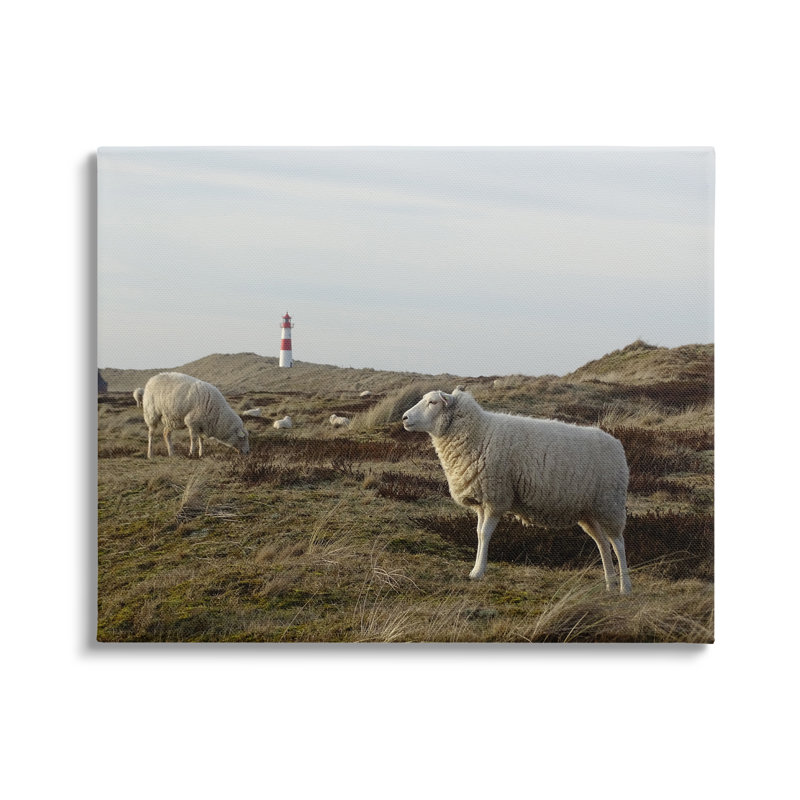 «Grazing Sheep Peaceful Grassland Hills Distant Lighthouse» par Daphne Polselli - photographie sur toile tendue, Toile tendue